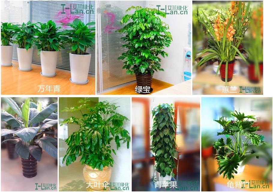 365速发国际(中国)官方网站